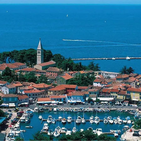 In Novigrad Сasa de vacaciones