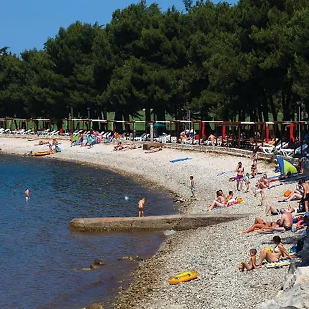 In Novigrad *